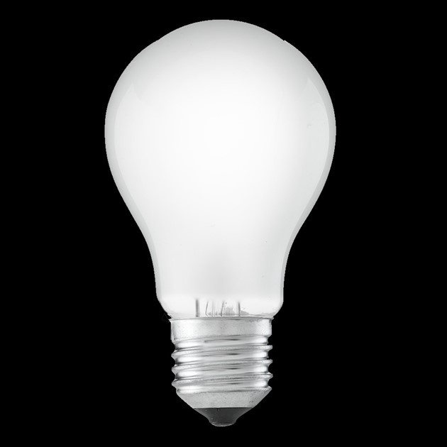 Normal matt E27 12V 15W